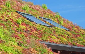 Newtown Butler living roof systems